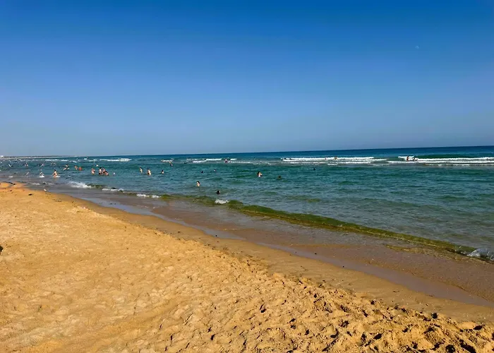 Сasa de vacaciones Mimosa House